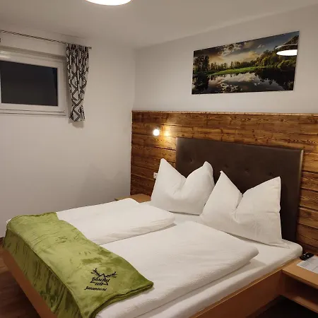 Appartement Kuschelzeit Jansenbichl Wagrain Zewnętrze zdjęcie